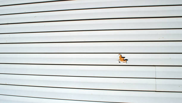 Best Wood Siding Installation  in Gibbsboro, NJ