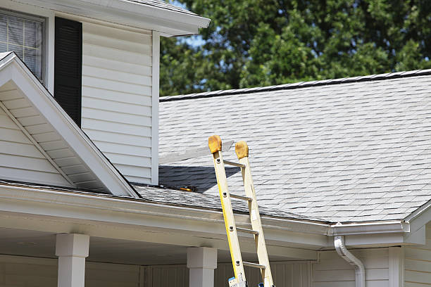 Best Storm Damage Siding Repair  in Gibbsboro, NJ